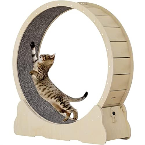 Löpband för katter, Löpband for katter med utbytbar löpbana(Brown,M)