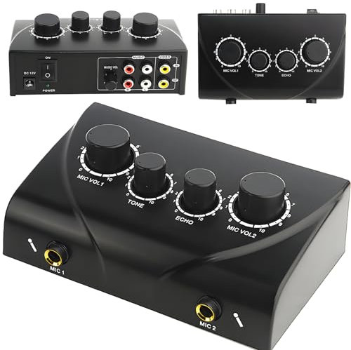 Mélangeur de son léger pour karaoké, double entrée micro et contrôle de la tonalité, mixeur portable à 2 canaux