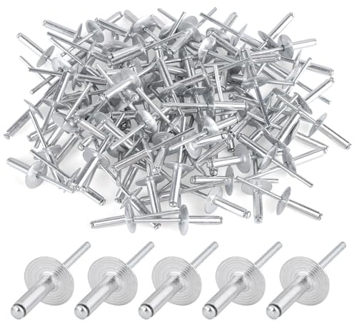 100 stycken blindnitar i aluminium med stort huvud, flänspopnitar 4,8 x 20 mm (16 mm huvud), silvernitar för motorfordon, möbler, mekanisk utrustning