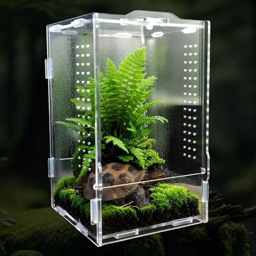 OMJMYY Terrario para Reptiles Acrílico 20 x 12 x 12 cm Caja de Alimentación de Insectos Transparente para Arañas Geckos Tortugas Lagartos Caracoles Anfibios e Invertebrados
