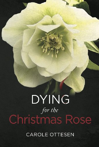 Dying for the Christmas Rose
