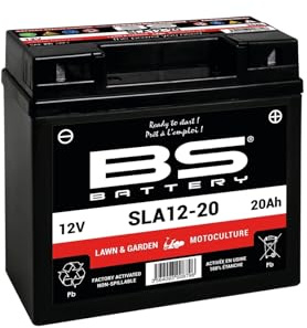 BS BATTERY Batterie SLA sans entretien activée usine - SLA12-20