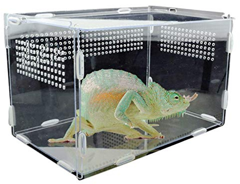 Récipient pour lézards, terrarium à insectes, habitats de reptiles et terrariums, boîte d'alimentation pour reptiles, habitat d'escargots robuste pour nourrir et transporter des araignées, des