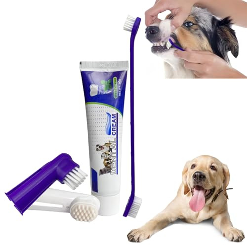 Kit Dentaire Dentifrice Chien,Brosse à Dents Pour Chiens Avec Dentifrice,Pour Chien à l'Arôme De Bœuf,Les Chiens Améliore l'hygiène buccale Contient