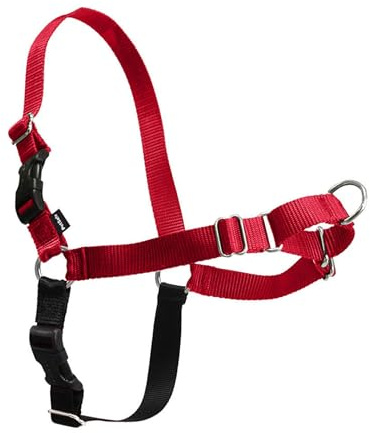 PetSafe Easy Walk dog harness.