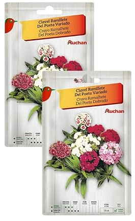 Semillas de Claveles del Poeta Variados, Flores de Colores Mixtos, 2 Sobres