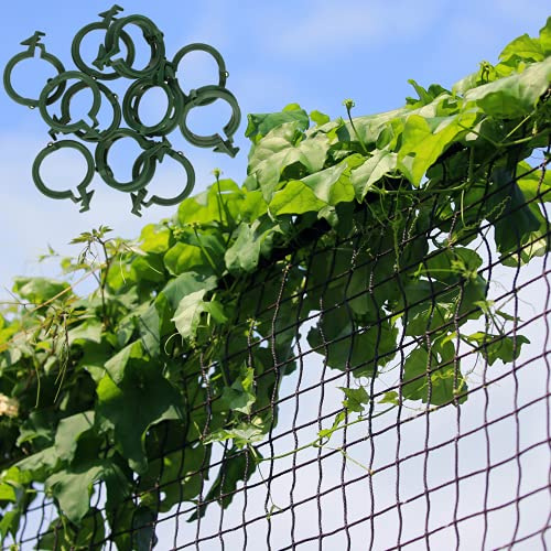 GARDENIX® 2m x 2,5 m Red de Enrejado para jardín e Invernadero para el Crecimiento de Tomates, pepinos y Plantas trepadoras y 100 Pinzas para Plantas (2 x 2,5 m, Negro)