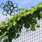 GARDENIX® 2x2.5 m Ranknetz Rankhilfe Tomaten, Gurken und Kletterpflanzen und 100 Stück Pflanzenclips (2x2.5 m, Schwarz)