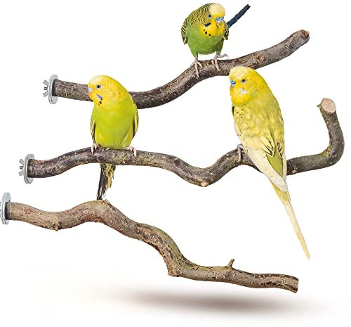 Vogelgaleria® 3 Sitzstangen für Wellensittiche Naturholz Sitzstangen Wellensittich Zubehör Vogel Zubehör