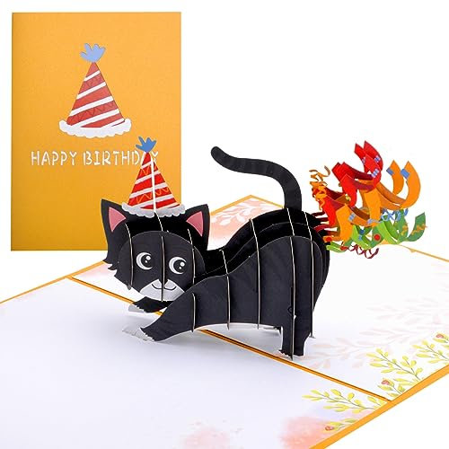 HENGBIRD Geburtstagskarte, Pop Up 3D Katz, Glückwunschkarte, Freundschaftskarte Geschenkkarte, Überraschungskarte Ermutigungskarten mit Schwarze Katze für Gute Besserung Danke Jahrestag