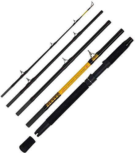 WFT Never Crack Big Cat 5tlg. 200-1000g 2,60m