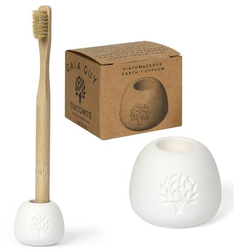 Gaia Guy Porte-brosse à dents en terre de diatomée sans désordre – Élégant organisateur de brosses à dents en pierre – Support de brosse à dents en diatomite absorbant l'eau