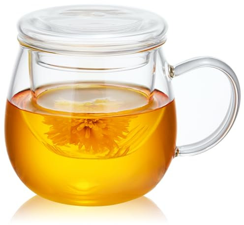 MESNEY Taza de Té con Filtro y Tapa de Vidrio 500ml – Taza Infusiones con Tapa y Filtro de Borosilicato – Taza para Infusiones con Asa Ergonómica y Filtro Antirresiduo