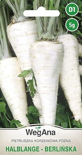 WegAna Prezzemolo radice mezza lunghezza 5g (circa 4000 semi), Prezzemolo radice, Semi di ortaggi robusti, Semi di ortaggi, Coltivazione di semi, Semi per serra