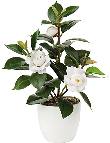 Oairse Plantas artificiales de camelia de 28 cm, plantas falsas en macetas, plantas de camelia de imitación en maceta con flores falsas blancas, escritorio, decoración de cocina