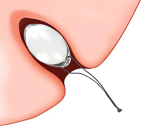 Jinqian 6 Größen Eiförmiges Glas Analkugel mit Tragbares Seil Analplug Analperlen Anal Ball Glas Dildo Groß Ei Buttplug Prostata Massager Vagina Masturbation SM Sexspielzeug für Frauen Männer (L)