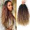 PORSMEER 18 pouces 6 paquets Boho Faux Locs Crochet extensions de cheveux, cheveux pré-bouclés désordonné rivière Bohème cheveux ondulés Crochet tresses 12 brins/paquet