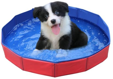 Faltbar Hundepool,Hundepool für Kleine Hunde,Hunde schwimmbecken,PVC Hundepool,Schwimmbad Für Hund,rutschfest Planschbecken für Hunde,Schwimmbecken für Hund,Kinderschwimmbad,50x8 cm,1 Stück
