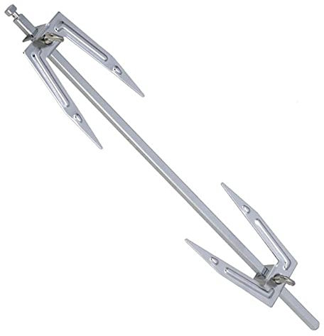 Abonda Rôtissoire pour gril | Rôtissoire pour gril – Fourchette en acier inoxydable pour rôtir le poisson, fourchettes à poulet pour la maison, le camping, le pique-nique