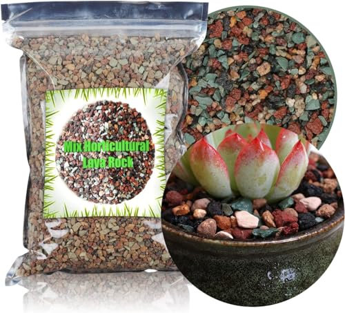 GOTVUGE Gartenbauliches Lavagestein-Mix, Bimsstein Sukkulenten Kaktus Natürlicher Topf-Bonsai-Garten-Kiesbelag (500g)
