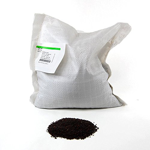 Tokyo Bekana Mustard Seeds: 5 Lb - Bulk, Non-GMO Seeds for Vegetable & Herb Gardening, Growing Microgreens