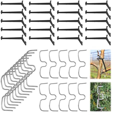 ordinarYone Esparcidores de ramas de árbol frutal en forma de M para peral, melocotón, cítricos, ABS y acero galvanizado, juego de herramientas de jardín