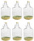 6er SET GLASBALLON MIT GRASKORB ! GÄRBALLON FLASCHE GLASFLASCHE WEINBALLON GLAS BALLON 5L