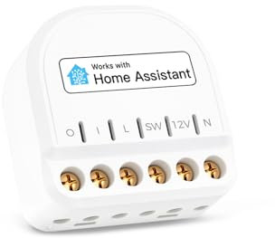 Refoss ESP8266 Mini Interruptor de Relé Inteligente con Home Assistant, 10A Interruptor de Luz WiFi con Medición de Consumo, 1 Way DIY Módulo Inteligente, Compatible con Alexa, Google, No Requiere Hub