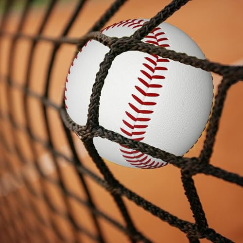 Robustes Baseball-Netz, schwarzes Nylon-Netz, Outdoor-Übungsnetz