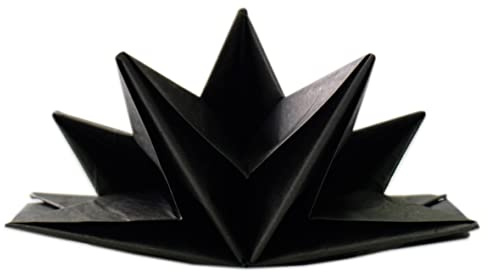 Fanxyware Star Shaped Origami Dinner Napkins in Black (Disposable) - 12 Pack, 23 x 15, 3-Ply Paper - Style Name: Pop Gaze