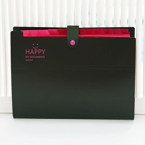 Meekye Carpeta archivadora A4 con 12 compartimentos y 16 etiquetas, carpeta de documentos A4, sistema de carpetas, organizador de documentos para casa, oficina, escuela, recibos y viajes, color negro