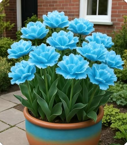 Combinazioni di Bulbi di Tulipano - Altamente Ornamentali, Creano un Romantico Paesaggio da Giardino-15bulbi-I