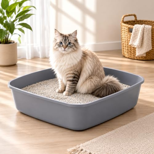 Cat litter Tray, Litter Tray Box, Plastic Cats Open Top Portable Pan Loo Box, Easy Clean Toilet for Cat Kitten Rabbit, 40x30x9 cm
