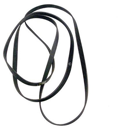 1951H7 COURROIE POLY V POUR SECHE LINGE FAGOR BRANDT VEDETTE SAUTER DE-DIETRICH - 481235818156