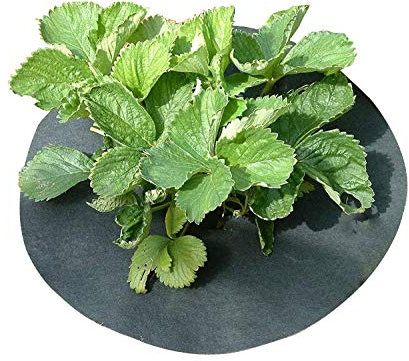 Gardening Naturally Copper Impregnated Strawberry Mats - Keep Slugs & Snails away from plants. 11 (27cm) Diameter (6)