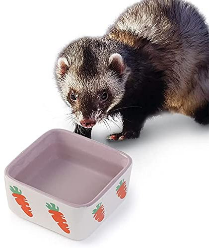 JanYoo kleintiernäpfe zubehör Kaninchen napf futterspender futtertrog schüssel trinknapf futternapf Keramik Schale Lila