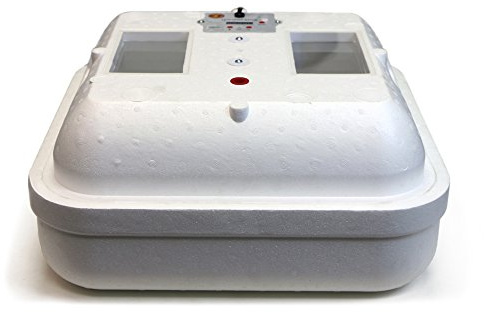 GQF Electronic Thermostat Hova-Bator