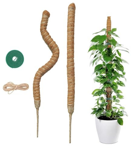 2x60cm Tuteur Monstera – Tuteurs Plante Grimpante Coco Flexible – Tuteur Plante avec Corde de Jute et Fermeture Autoagrippante – Convient à la Croissance de la Monstera et d'autres Grimpantes