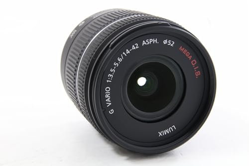 Panasonic Micro Four Thirds 14-42mm Zoom Lens (35mm Equivalent 28-84mm)