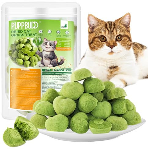 Katzengras Snacks, 100g Gefriergetrocknet Katzengras für Katzen, Katzengras Fertig Gewachsen für die Zahnpflege, Katzengras Sticks Haarknäuel Entfernen