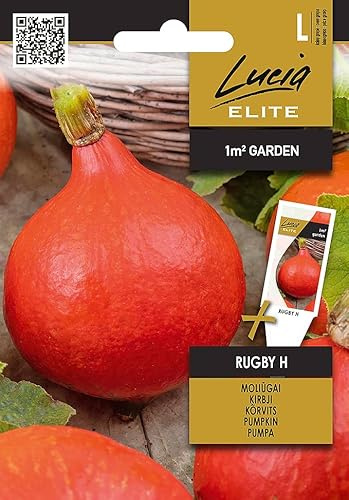 Lucia Elite | Calabaza - RUGBY H Semillas de huerto | Frutos pequeños ovalados | Naranja intenso rico en vitaminas larga conservación | Semillas de calabaza | 1 sobre