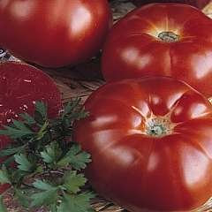 Tomate - Super Marmande - Beefsteak - 40 graines