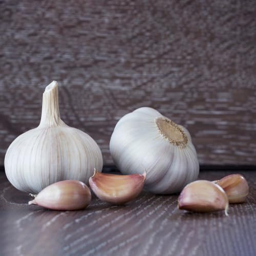 aglio biologico giardino di tappezzanti piantare l'aglio sostenibili esotiche da rialzate semi di biologici, 60semi