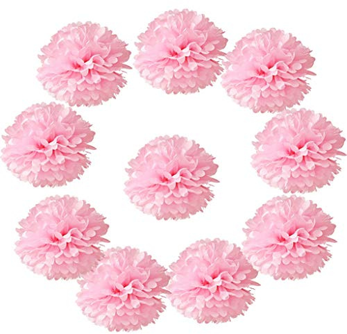 10pcs Tissue Hanging Paper Pom-poms Flower Ball Wedding Party Outdoor Decoration, Hmxpls Premium Tissue Paper Pom Pom Flowers Craft Kit(Pink)