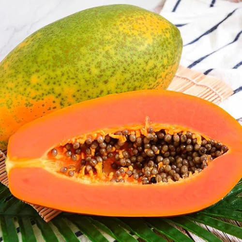 Semillas de plátano indio,jardín,coloridas columnares,Maceta bonsái,árbol para jardín,para lugares 30pcs