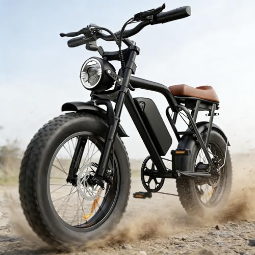 RKJ Electric Bike for Adults, 2200W, 35MPH, 75 Miles Max Range, 48V 15.6AH Removable Battery, 7-Speed, 3 Modes, Full Suspension, Dual Disc Brakes, 20 All-Terrain Fat Tires, UL 2849 Certified E Bike