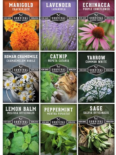 Medicinal Tea Herb Seeds for Planting | 9 Variety Pack of Heirloom, Non-GMO Herbs – Grow Herbal Teas, Natural Remedies – Home Apothecary Garden Kit – Survival Garden Seeds