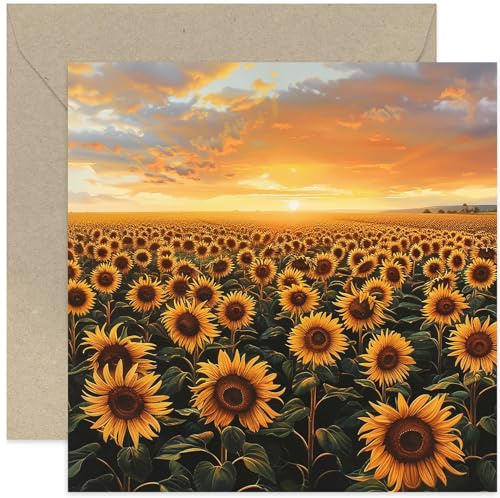 Sunflower Greeting Card - Photographic Flower Artwork - Traditional Greeting Cards for Him or Her - Sunset Sunflower Fields Scene Birthday Card, Thinking of You Card, Sympathy Card | Blank Inside