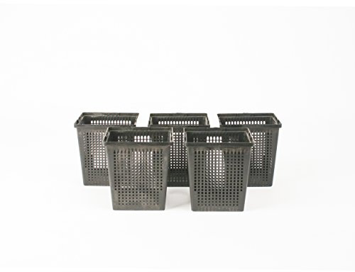 Inter Flowers GmbH Wasserpflanzenkörbe 11 x 11 cm / für Gartenteich - Geeignet für Teichpflanzen wie Seerosen / Kunststoff / Teichpflanzen / Gartenteich