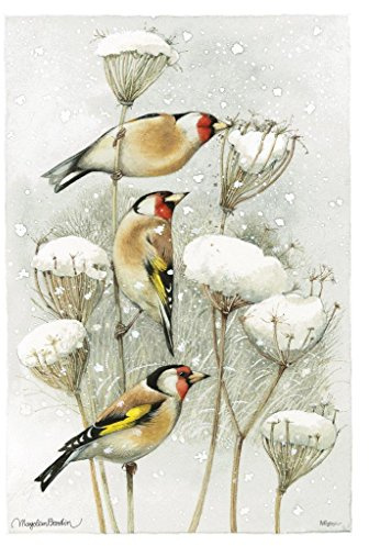 MIGHTYPRINT Marjolein Bastin - European Goldfinch – Durable 17” x 24 Wall Art – NOT Made of Paper – Officially Licensed Collectible MP17240394